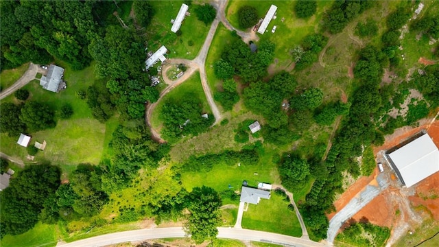 7703 Moorefield Memorial Hwy, Liberty, SC 29657 - drone / aerial view