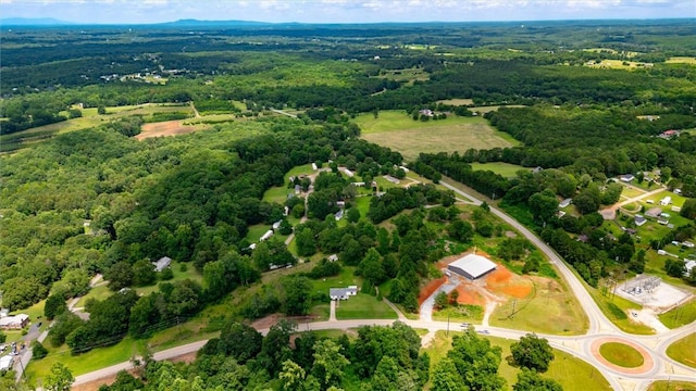 7703 Moorefield Memorial Hwy, Liberty, SC 29657 - drone / aerial view of a forest