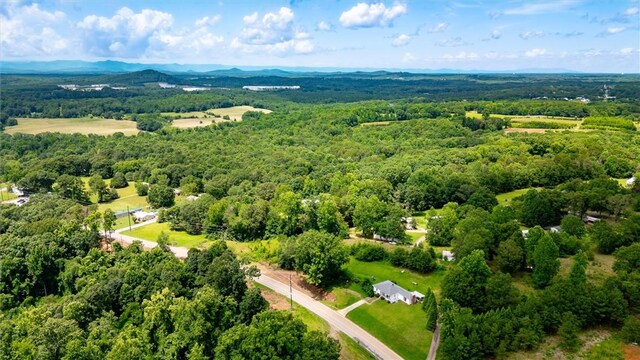 7703 Moorefield Memorial Hwy, Liberty, SC 29657 - bird's eye view of a forest