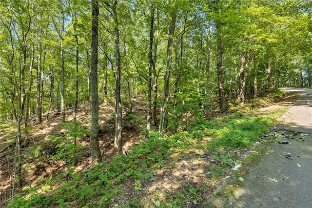 00 Old Chapman Trl, Pickens, SC 29671