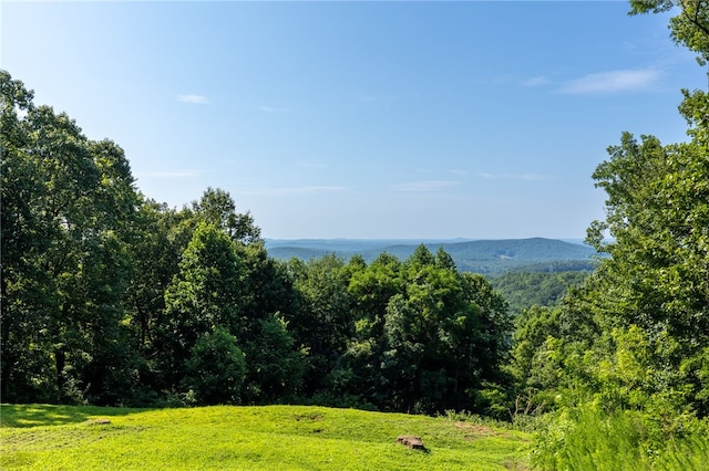 00 Old Chapman Trl, Pickens, SC 29671