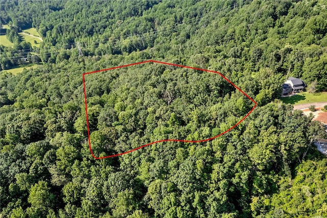 00 Old Chapman Trl, Pickens, SC 29671