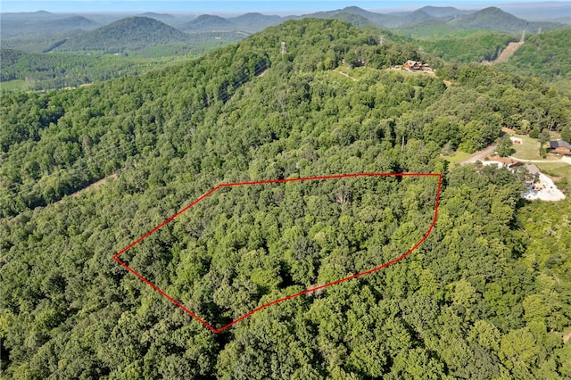 00 Old Chapman Trl, Pickens, SC 29671