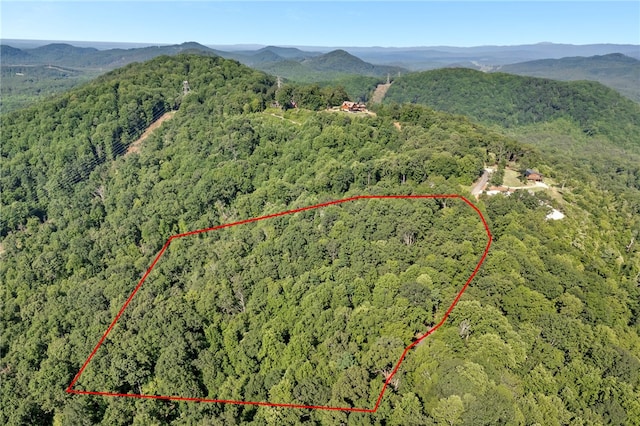 00 Old Chapman Trl, Pickens, SC 29671