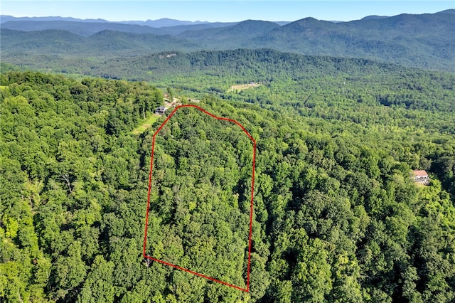 00 Old Chapman Trl, Pickens, SC 29671