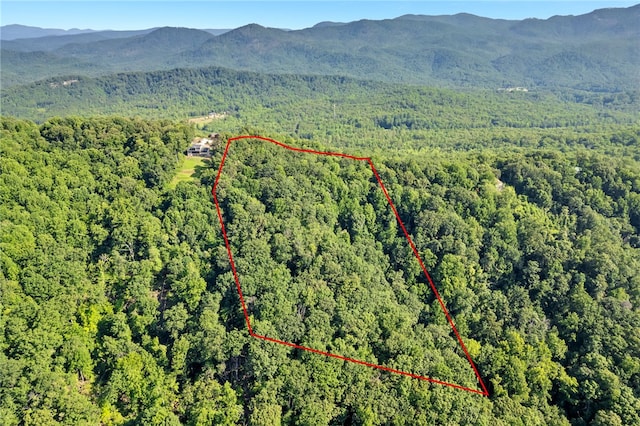 00 Old Chapman Trl, Pickens, SC 29671