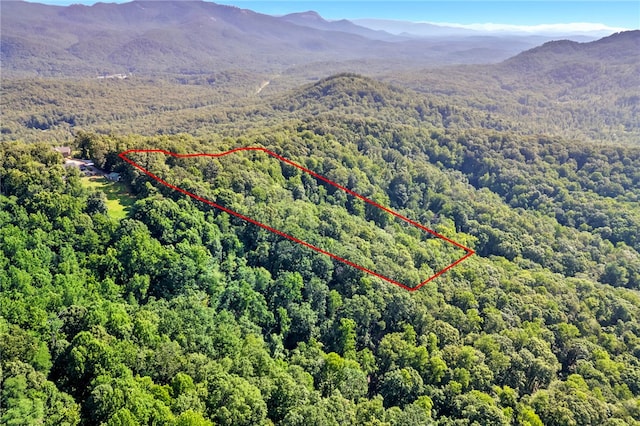 00 Old Chapman Trl, Pickens, SC 29671