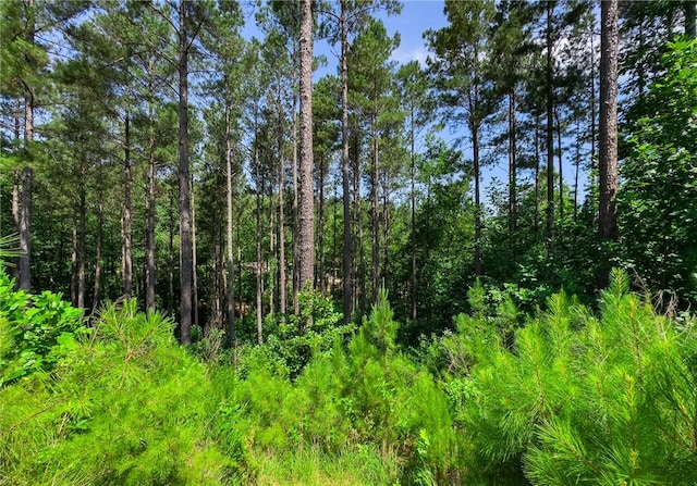 LOT11 Little Keowee Blvd, West Union, SC 29696