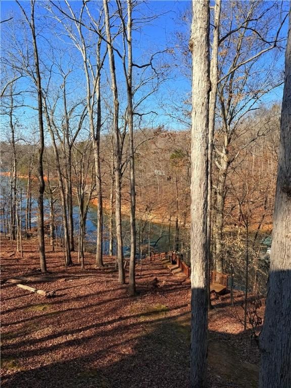 224 Fairplay Heights Cir, Fair Play, SC 29643 - photo 9