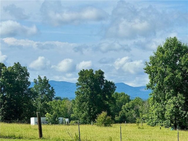 251 W Mcelhaney Rd, Taylors, SC 29687 - mountain view
