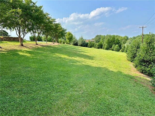 251 W Mcelhaney Rd, Taylors, SC 29687 - view of green lawn