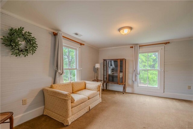 251 W Mcelhaney Rd, Taylors, SC 29687 - carpeted living room featuring crown molding and baseboards