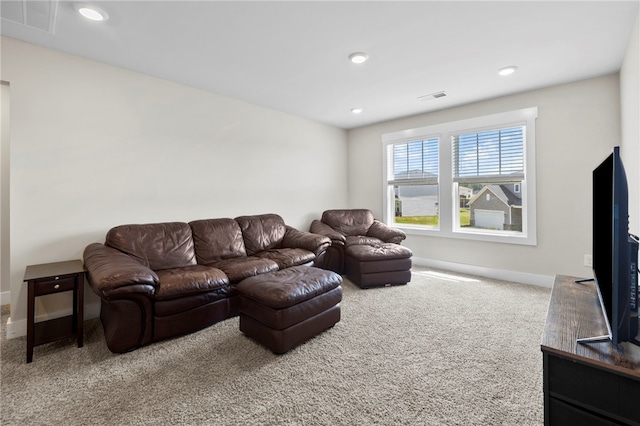 148 Walking Stick Way, Pelzer, SC 29669 - photo 11