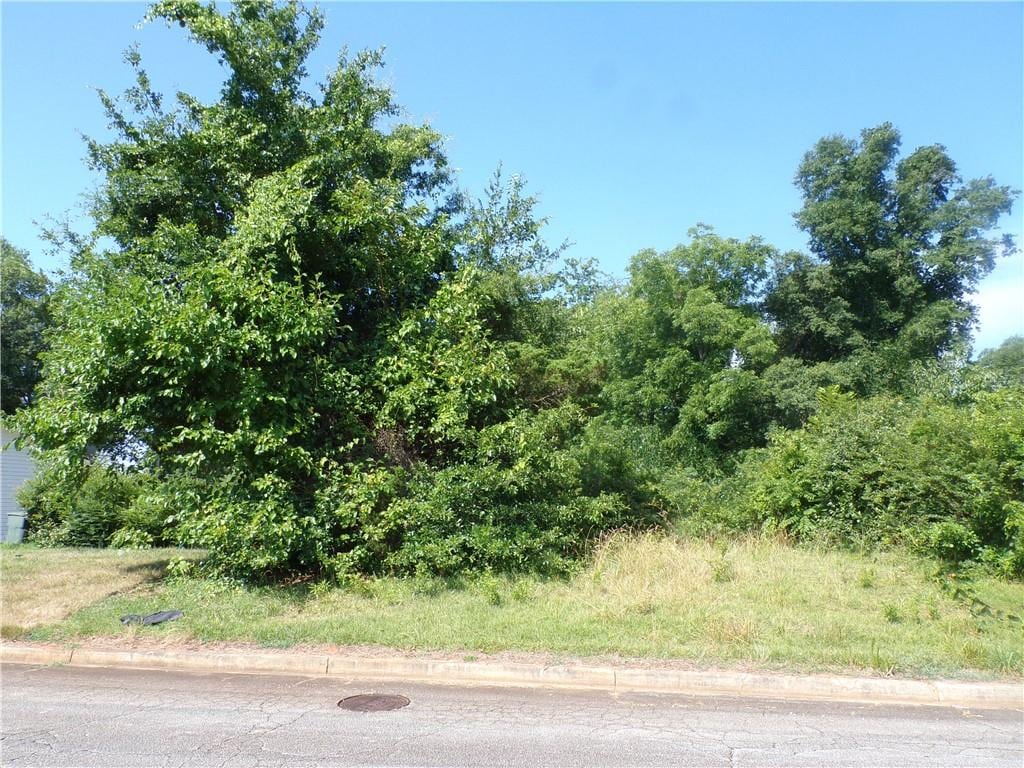 00 Holland Ave, Seneca, SC 29678 - photo 1