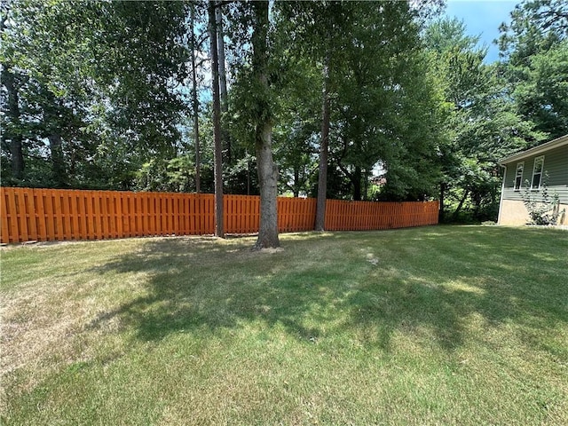 118 Branch St, Walhalla, SC 29691 - view of yard