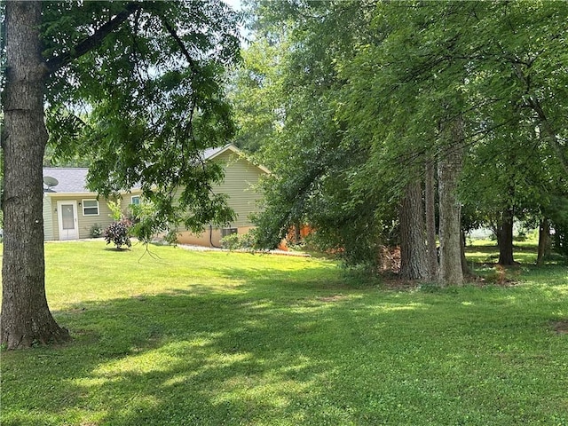 118 Branch St, Walhalla, SC 29691 - view of green lawn