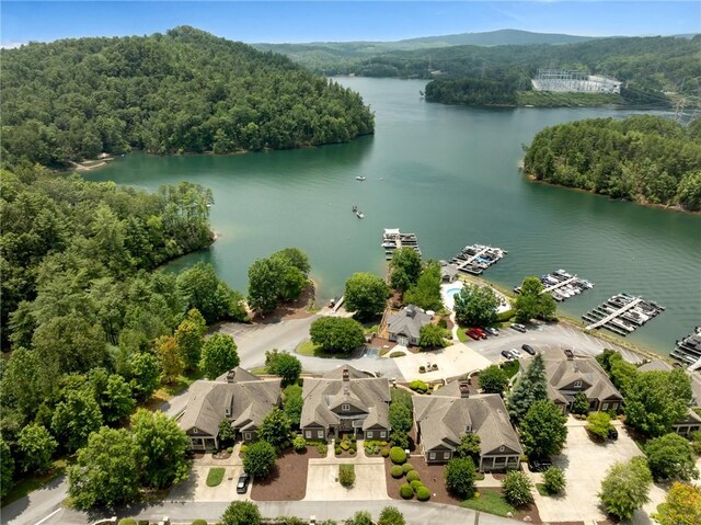 105 Portside Ct Unit B, Sunset, SC 29685