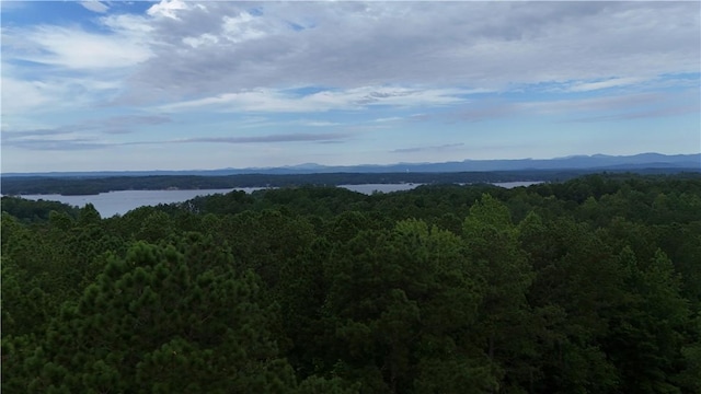 01 War Path Rd, Six Mile, SC 29682 - photo 2