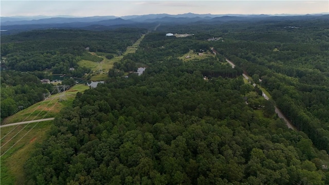 01 War Path Rd, Six Mile, SC 29682 - photo 4