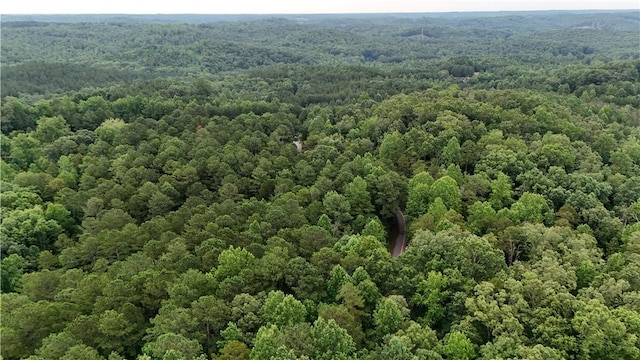 01 War Path Rd, Six Mile, SC 29682 - photo 9