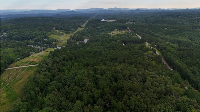 01 War Path Rd, Six Mile, SC 29682 - photo 15