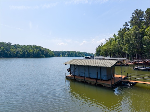 225 Starlight Ln, Fair Play, SC 29643 - photo 45