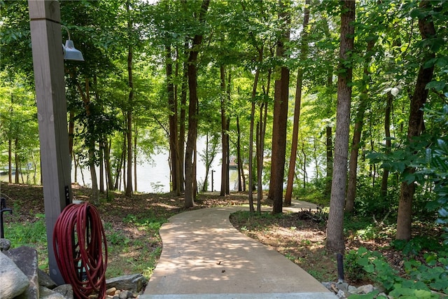 225 Starlight Ln, Fair Play, SC 29643 - photo 41
