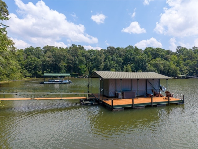 225 Starlight Ln, Fair Play, SC 29643 - photo 44