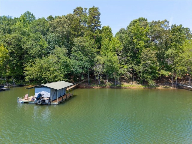 225 Starlight Ln, Fair Play, SC 29643 - photo 46