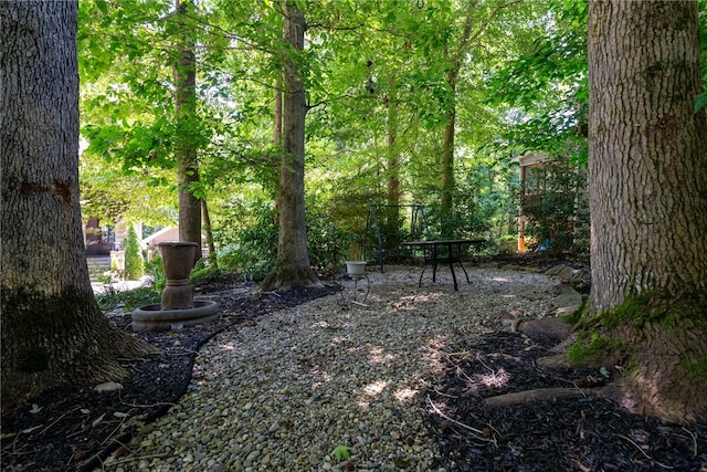 225 Starlight Ln, Fair Play, SC 29643 - photo 47