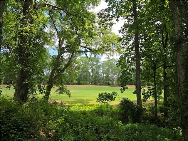 513 Quail Hollow Rd, Anderson, SC 29621 - photo 6