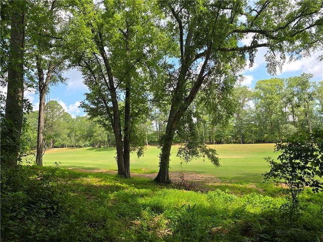 513 Quail Hollow Rd, Anderson, SC 29621 - photo 7