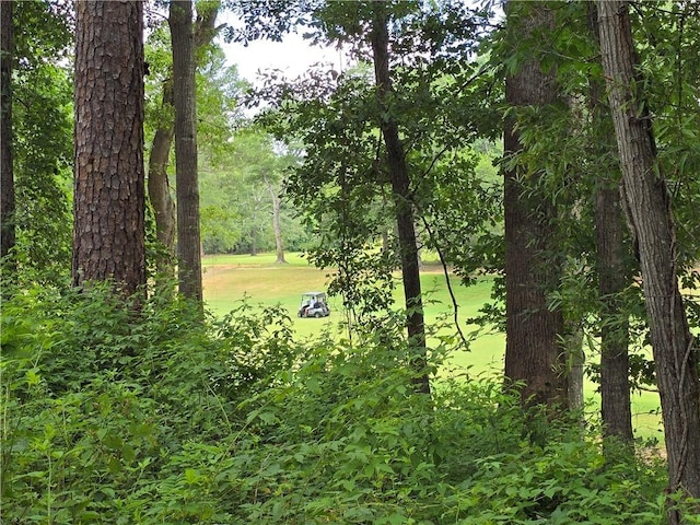 513 Quail Hollow Rd, Anderson, SC 29621 - photo 9