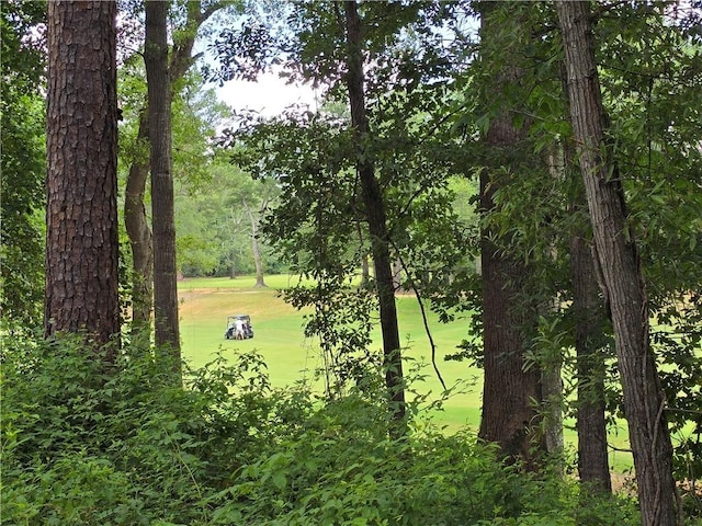 513 Quail Hollow Rd, Anderson, SC 29621 - photo 10