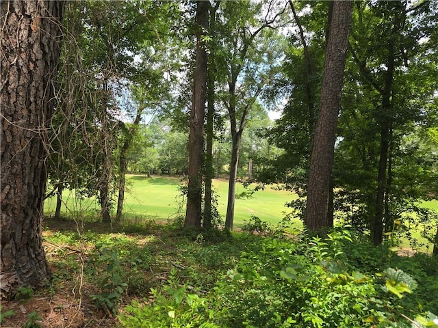 513 Quail Hollow Rd, Anderson, SC 29621 - photo 12
