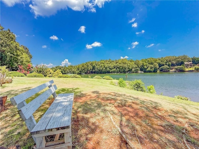 816 Armada Way, West Union, SC 29696 - photo 30