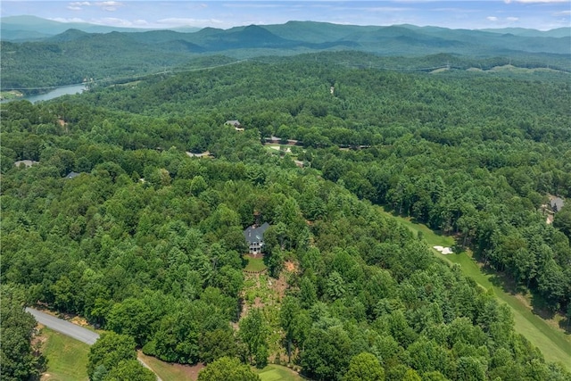 120 Links View Ct, Sunset, SC 29685 - drone / aerial view of a forest and a water and mountain view