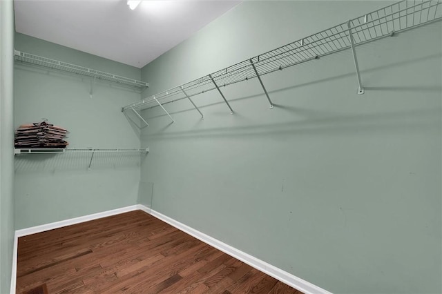 210 Briarcliff Rd, Central, SC 29630 - walk in closet with dark wood-style flooring