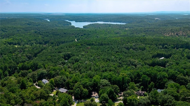 210 Briarcliff Rd, Central, SC 29630 - drone / aerial view of a heavily wooded area and a large body of water