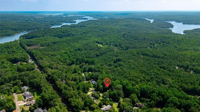 210 Briarcliff Rd, Central, SC 29630 - bird's eye view of a heavily wooded area
