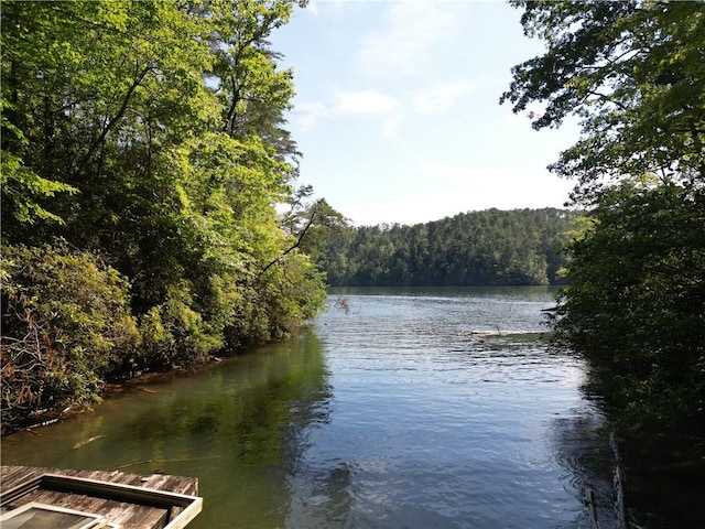 767 Lake Yonah Reservoir, Westminster, SC 29693 - photo 3