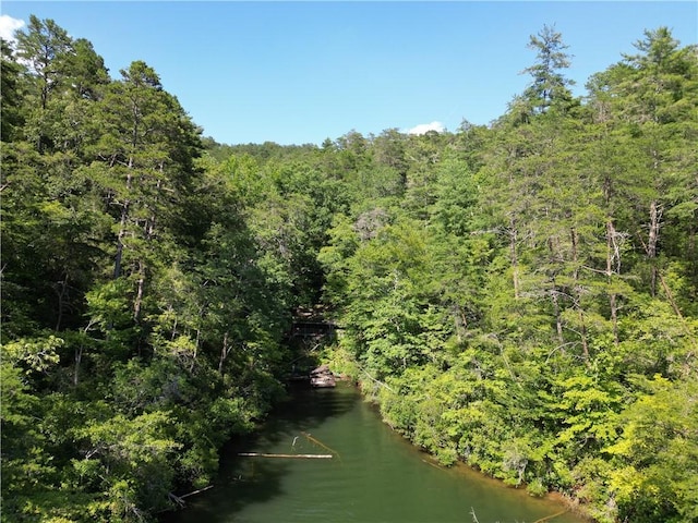 767 Lake Yonah Reservoir, Westminster, SC 29693 - photo 5