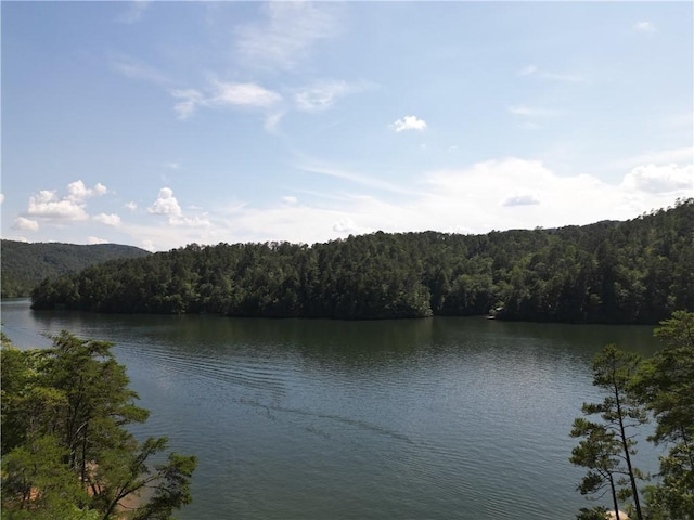 767 Lake Yonah Reservoir, Westminster, SC 29693 - photo 6