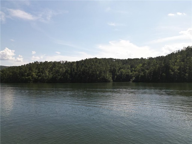 767 Lake Yonah Reservoir, Westminster, SC 29693 - photo 7