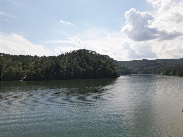 767 Lake Yonah Reservoir, Westminster, SC 29693 - photo 8