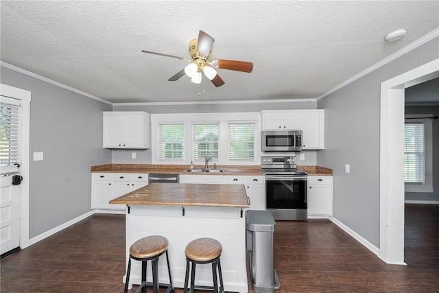 200 Maplecroft St, Liberty, SC 29657 - kitchen featuring stainless steel appliances, dark wood-style flooring, ornamental molding, a ceiling fan, and butcher block counters