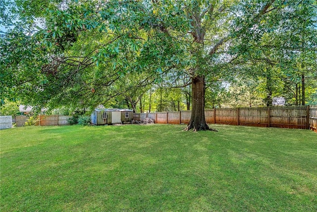 200 Maplecroft St, Liberty, SC 29657 - fenced backyard with a storage shed
