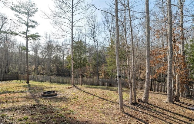 49 Puckett Mill Way, Central, SC 29630 - photo 33