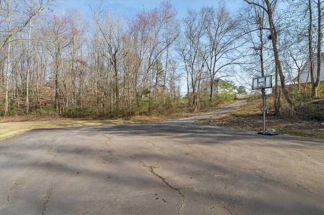 49 Puckett Mill Way, Central, SC 29630 - photo 39