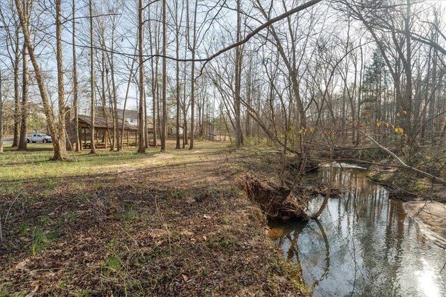 49 Puckett Mill Way, Central, SC 29630 - photo 42